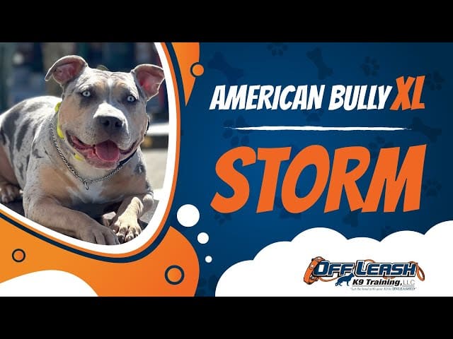 Test Page for Charlottesville 12